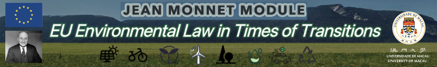 Jean Monnet Module European Union Law in the Global Context Logo